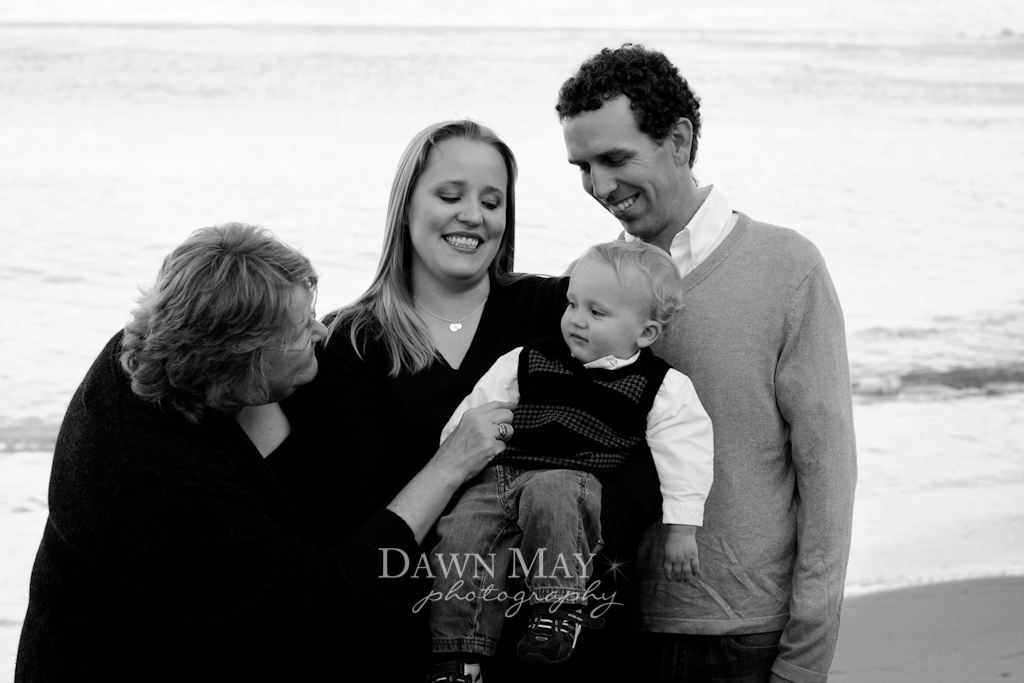 Monterey Holiday Mini Sessions 2012 by Dawn May Photography-2