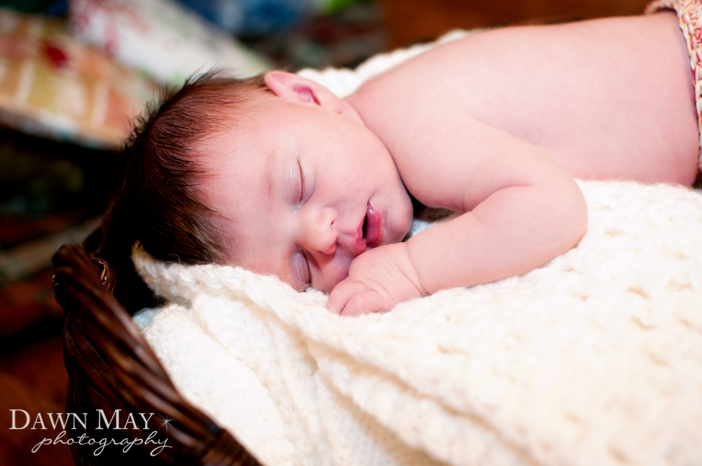 Monterey Newborn Photographer DSC_2644