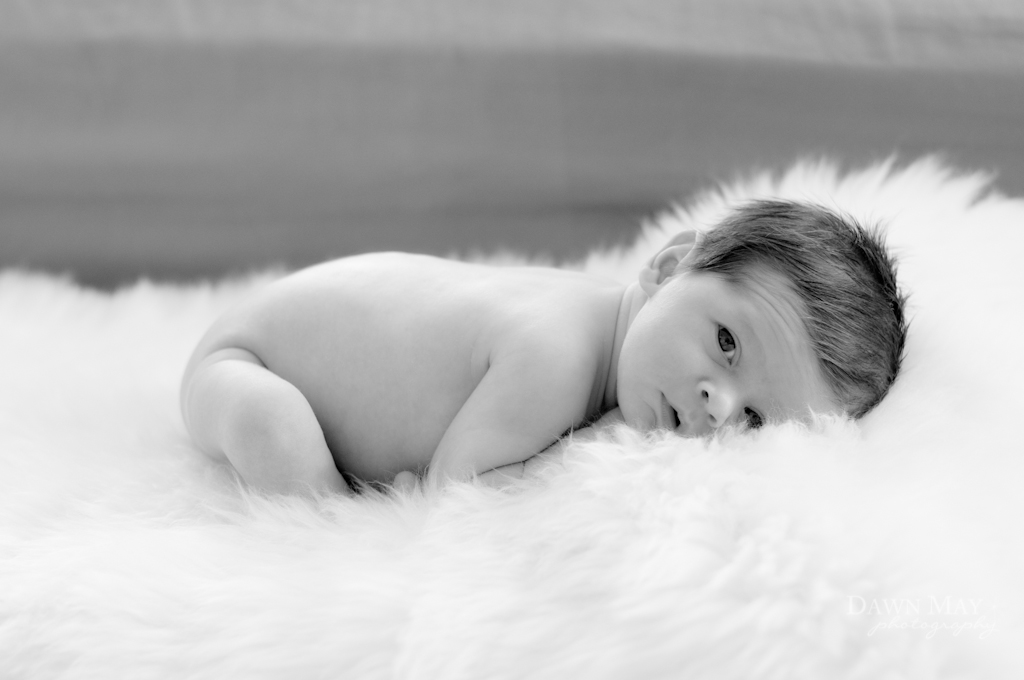 Monterey Newborn and Baby Photographer Dawn May Photography 2013 sm DSC_4469