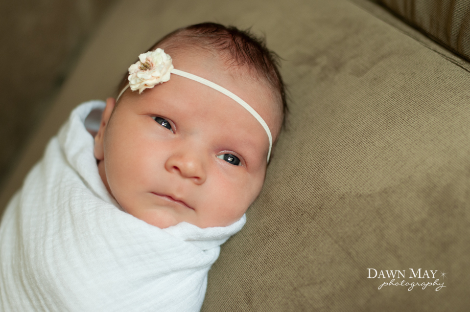 Monterey Newborn Photographer Dawn May Photography DSC_5612_