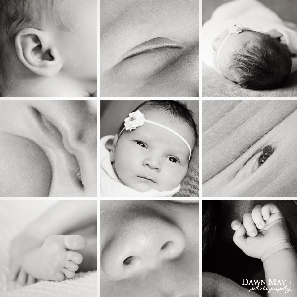 Newborn Details Monterey Photographer Dawn May Photography