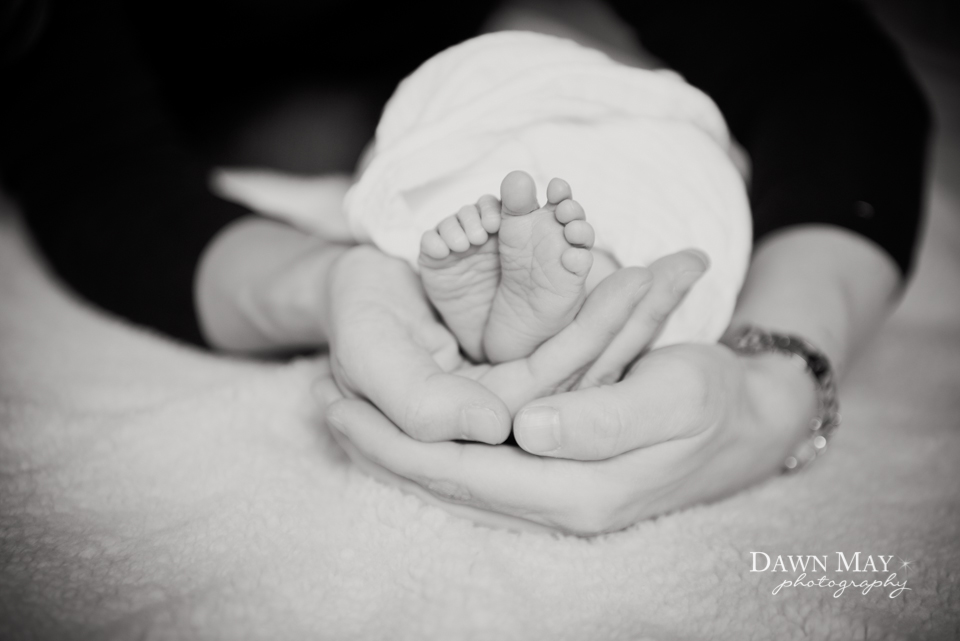 Monterey Newborn and Baby Photographer Dawn May Photography DSC_5806