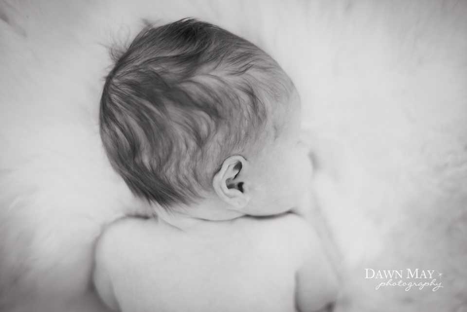 Monterey County Newborn and Baby Photographer Dawn May Photography DSC_5857