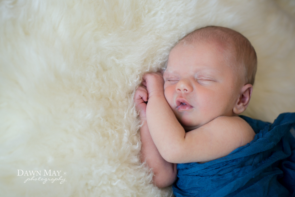 Dawn May Photography Monterey Newborn Photographer wmDSC_0459